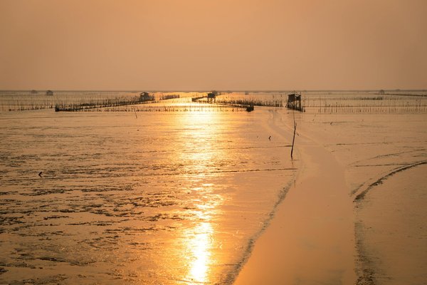 Comment découvrir les merveilles sous-marines lors d'un voyage aux Maldives ?